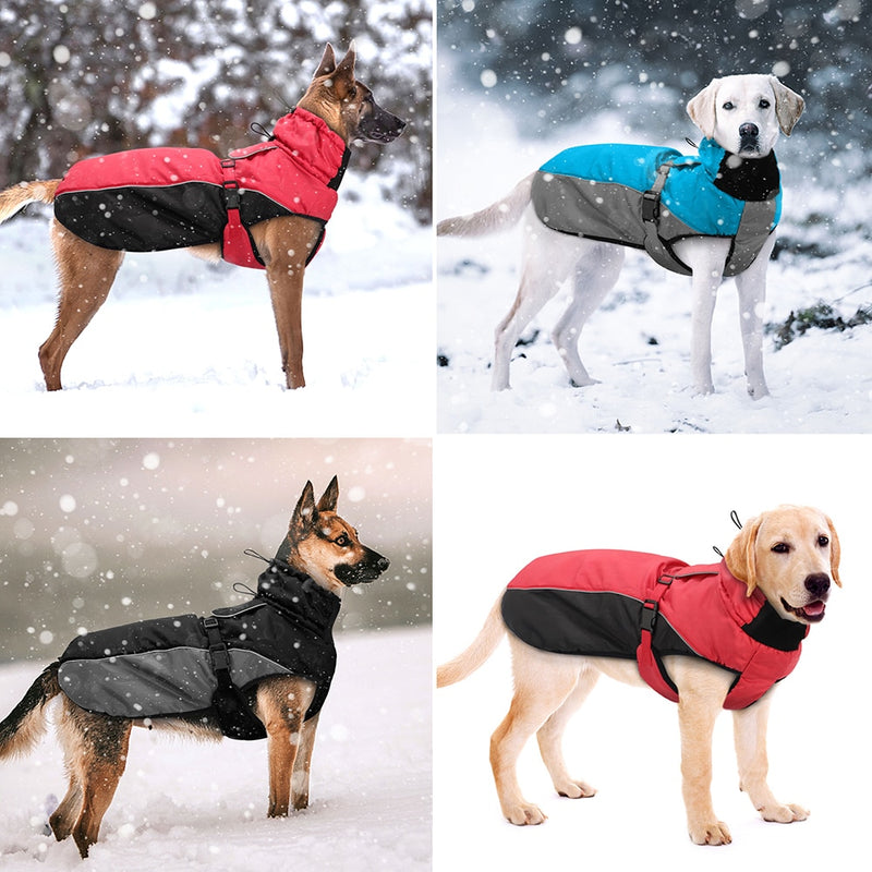 Ropa impermeable para perros grandes.