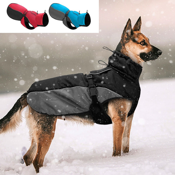 Ropa impermeable para perros grandes.